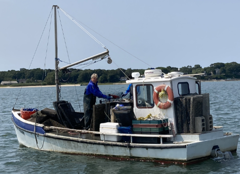 Shellfish farmer operating conducting shellfish farming activities